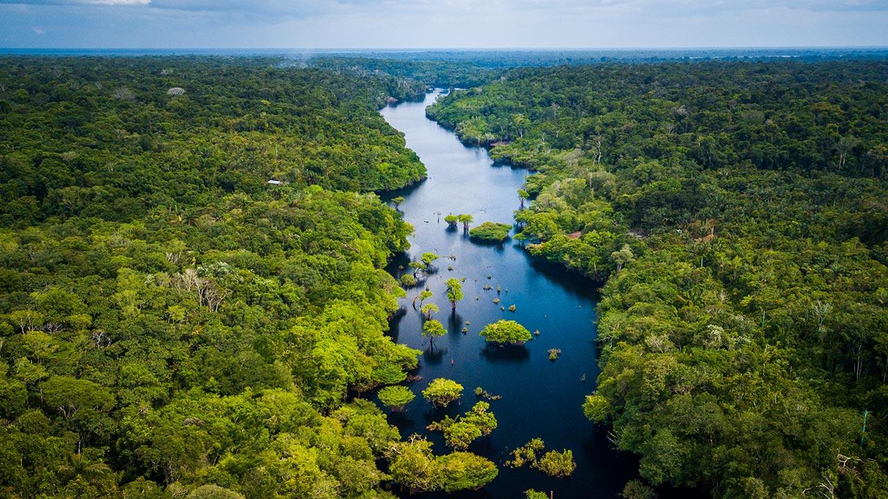 Aerial view of Amazon rainforest